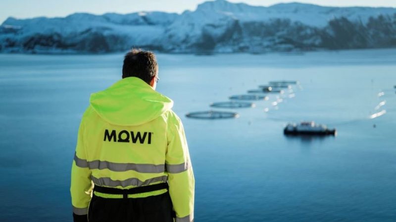MOWI incrementa su flota y añade un 20% de vehículos eléctricos
