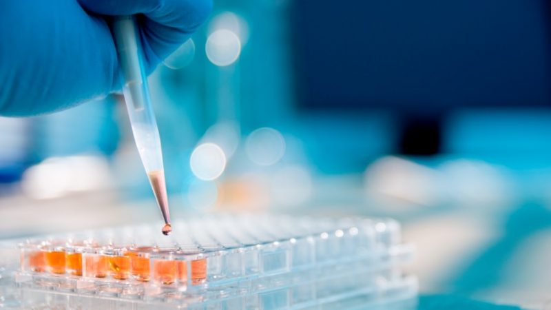 GSK y ANII  financiarán dos nuevos proyectos de investigación en oncología