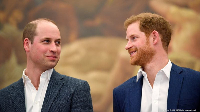 OnDIRECTV emitirá en exclusiva el documental Harry and William: What Went Wrong