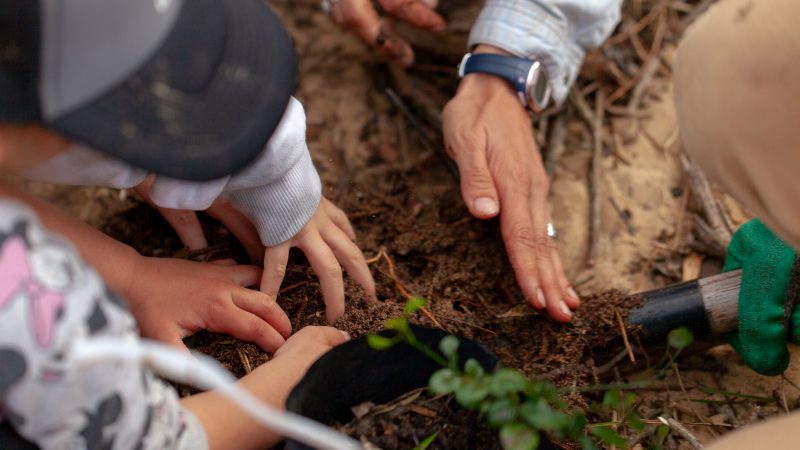 Metlife Uruguay planta un árbol por cada colaborador de la compañía