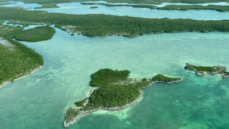 La coalición de América Latina y el Caribe comparten una visión de la economía circular para la región