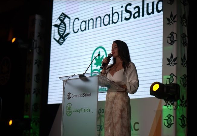 ¿CÓMO INVERTIR EN CANNABIS? CANNABISALUD TE MUESTRA LOS PRIMEROS PASOS PARA HACER INVERSIONES SEGURAS EN ESTA INDUSTRIA