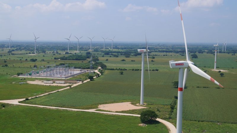 OTORGAN A GRUPO BIMBO MÁXIMA CALIFICACIÓN Y RECONOCIMIENTO POR SUS ESFUERZOS PARA MITIGAR EL CAMBIO CLIMÁTICO A NIVEL GLOBAL