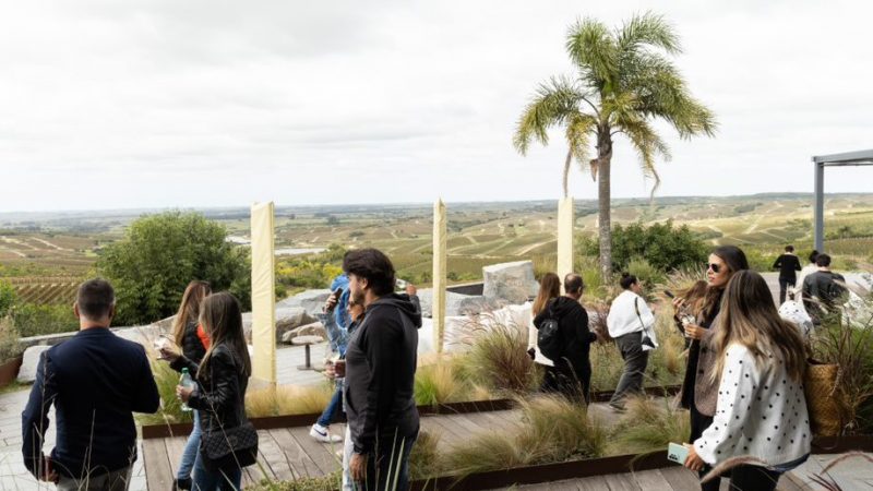 El enoturismo como oportunidad para desestacionalizar el turismo en Maldonado