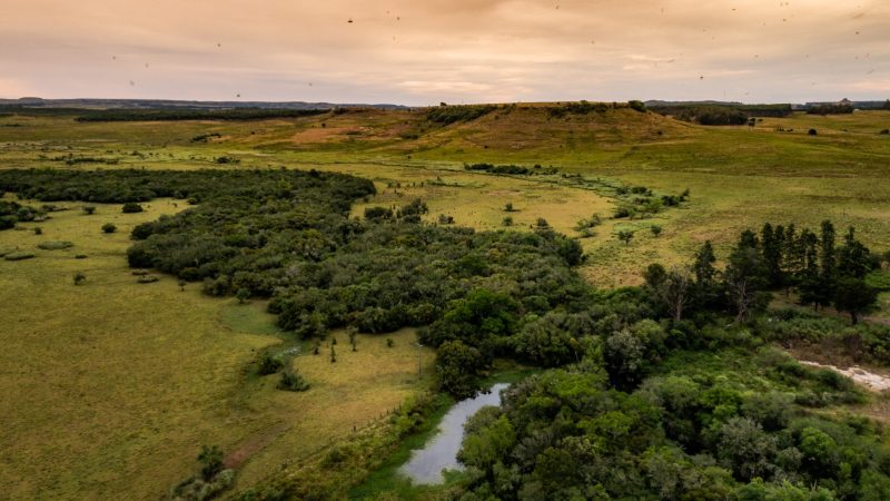 LUMIN® completó la venta de 2.2 millones de créditos de carbono a Climate Impact Partners