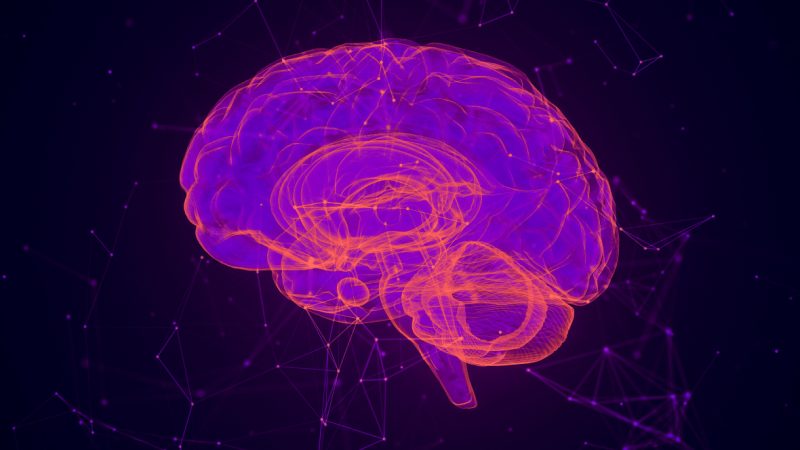 EXTE EXPLORA LAS 5 TENDENCIAS QUE MOLDEARÁN EL FUTURO DEL MARKETING DIGITAL