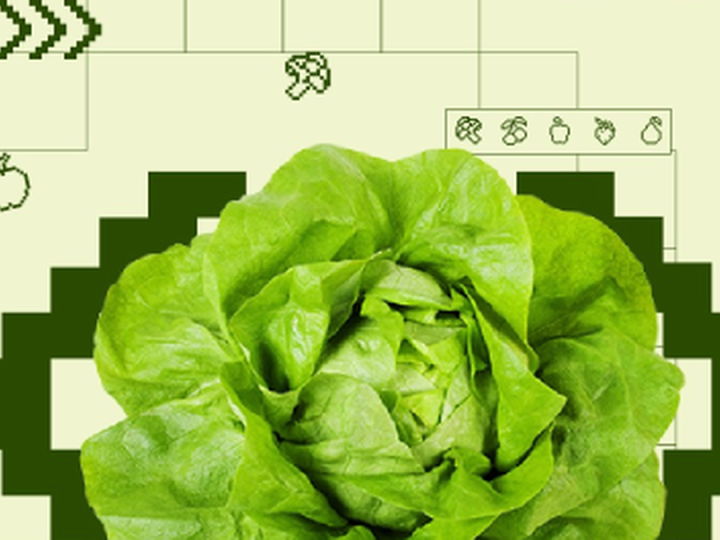 FerIA, el chatbot que se creó para ayudar a los uruguayos a comer más (y mejor) frutas y verduras
