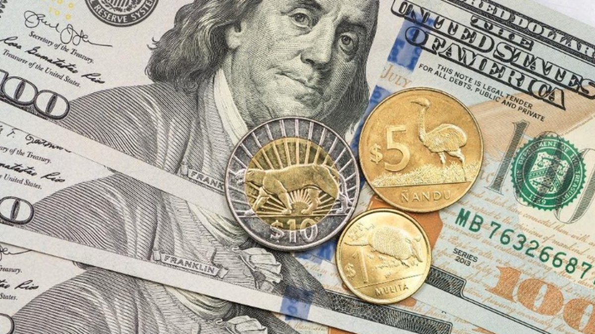Brou actualiza cotización del dólar: leve baja en la compra