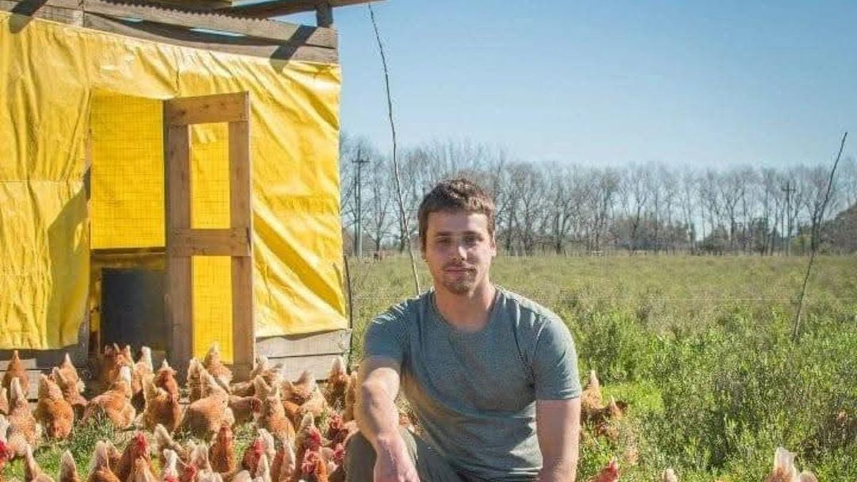 Ramiro, de Estación Pedrera, el productor de huevos de gallinas que viven como gallinas