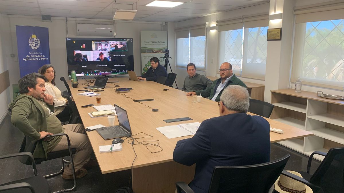 Sequía en Salto: El MGAP declara emergencia agropecuaria para productores citrícolas