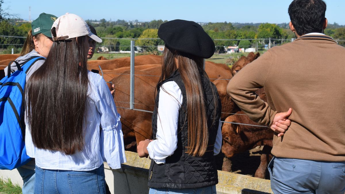 Un Solo Uruguay respondió al ministro Juan Castillo sobre los jóvenes que trabajan antes de los 18 años