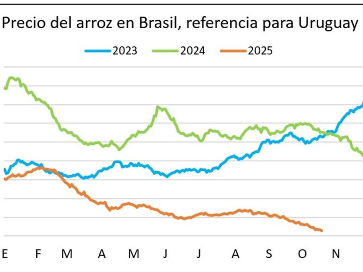 Soja y trigo cortan la racha bajista mientras el arroz se hunde