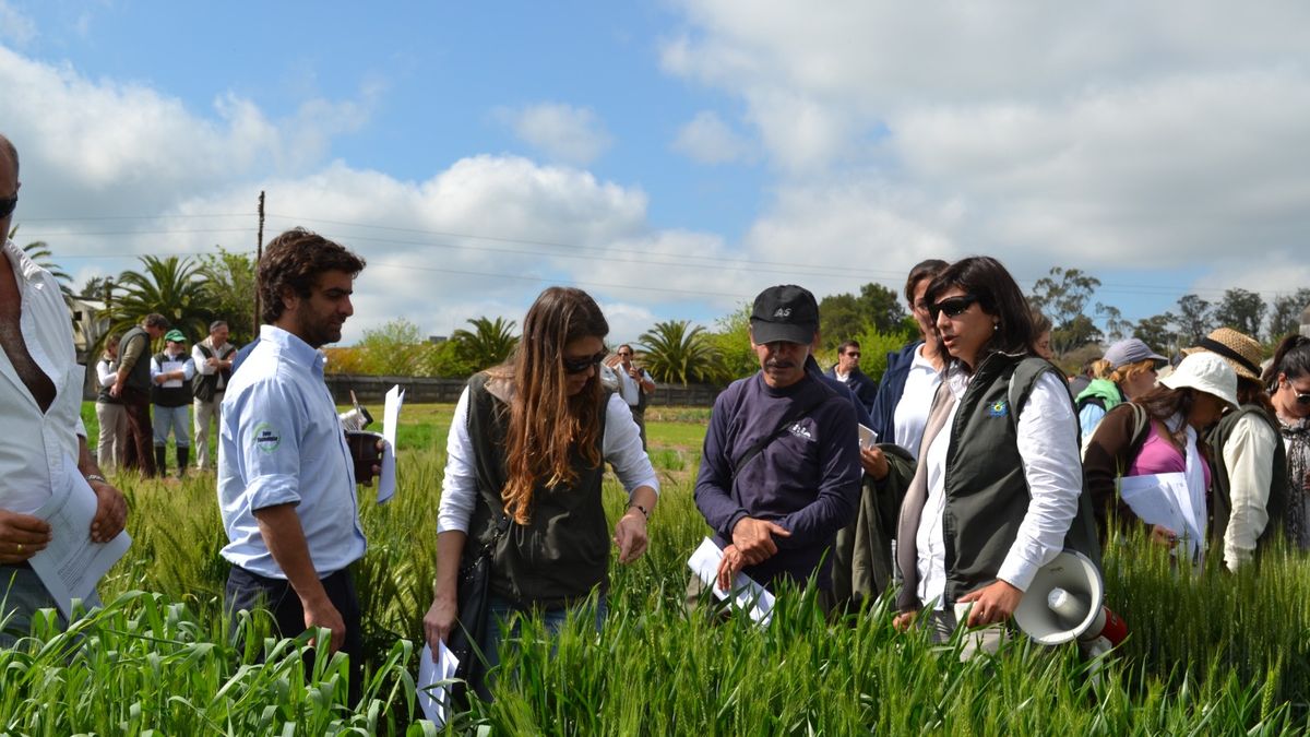 El Inase y una Jornada de Campo especial, la de los 20 años: "El conocimiento germina cuando se comparte"