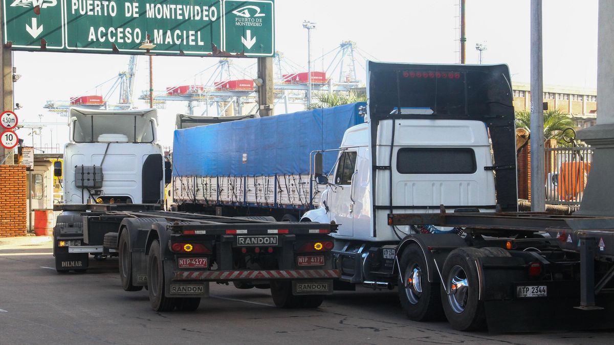 Paro en el puerto: sin afectación en algunas terminales, con largas filas de camiones y actividad de contenedores trancada