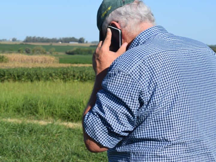 Lo que pasó con la actividad de compraventas de tierras para uso agropecuario