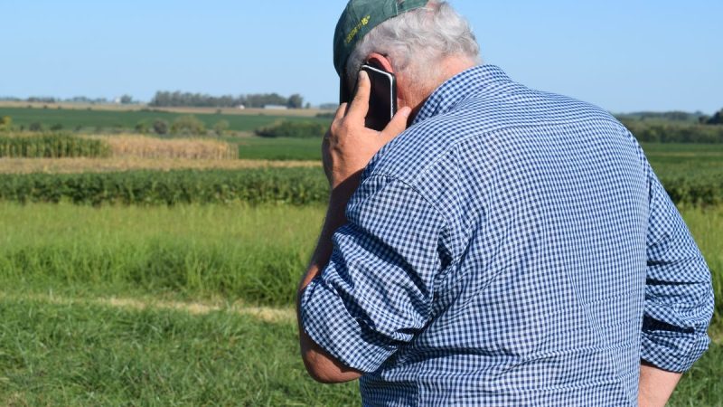 Lo que pasó con la actividad de compraventas de tierras para uso agropecuario