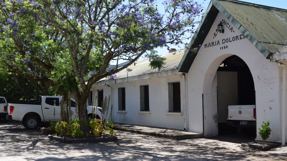 El recuerdo de Fratti, luego de recorrer el campo de la estancia María Dolores, de algo que le dijo Mujica