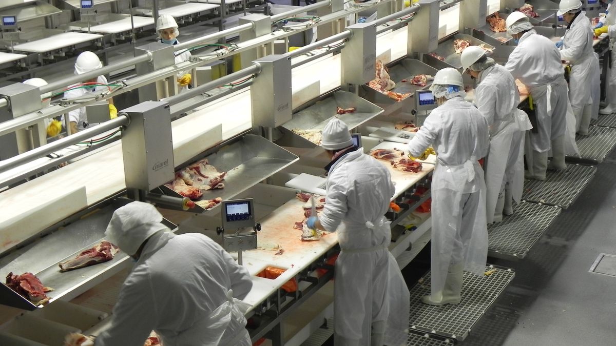 Se viene el récord de ingresos por exportaciones de carnes y el INAC anunció cuántos miles de millones son