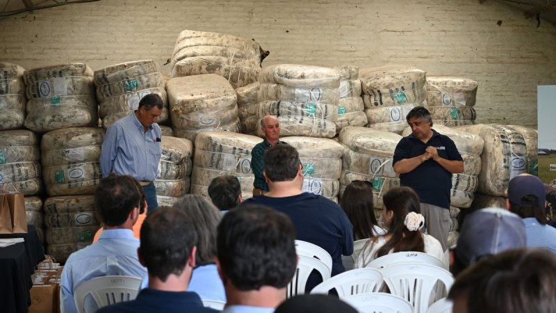 Termina en Uruguay un año que se hizo desear: el del regreso de la lana
