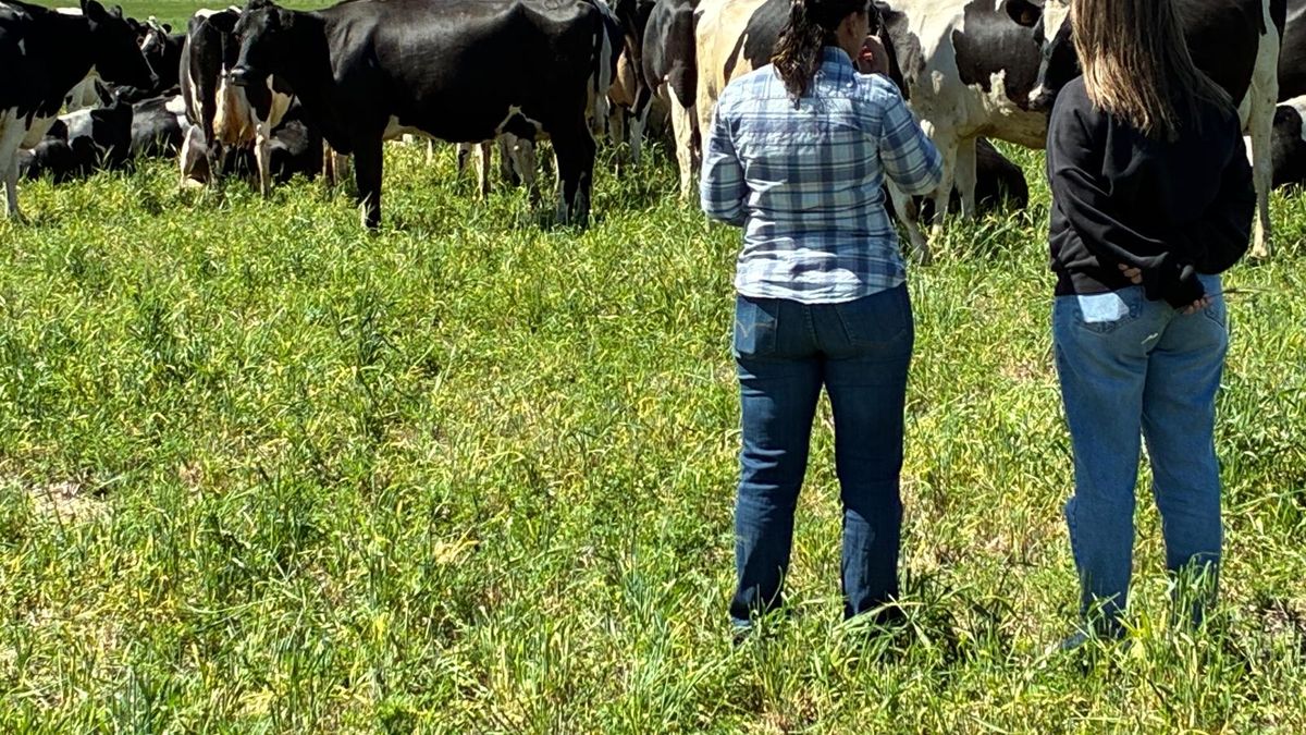 Ejecutado por el Inale y financiado por el INIA: el proyecto que busca fortalecer la gestión de los tambos