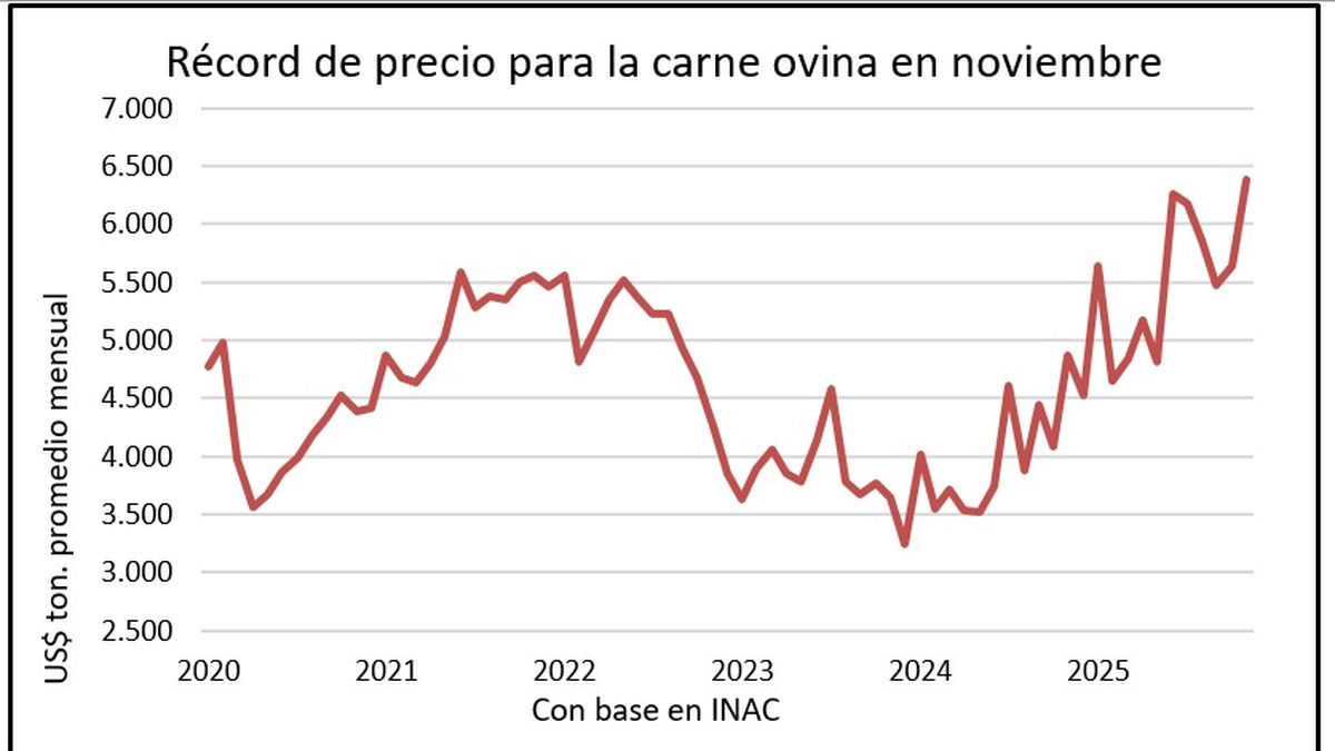 Sonrisas en el rubro ovino: lana, carne y hacienda cierran 2025 con los precios más altos en años