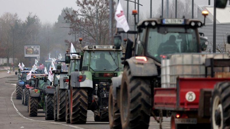 Novedades sobre el acuerdo Mercosur – Unión Europea: salvaguardias en Europa y aprobación inicial en Argentina