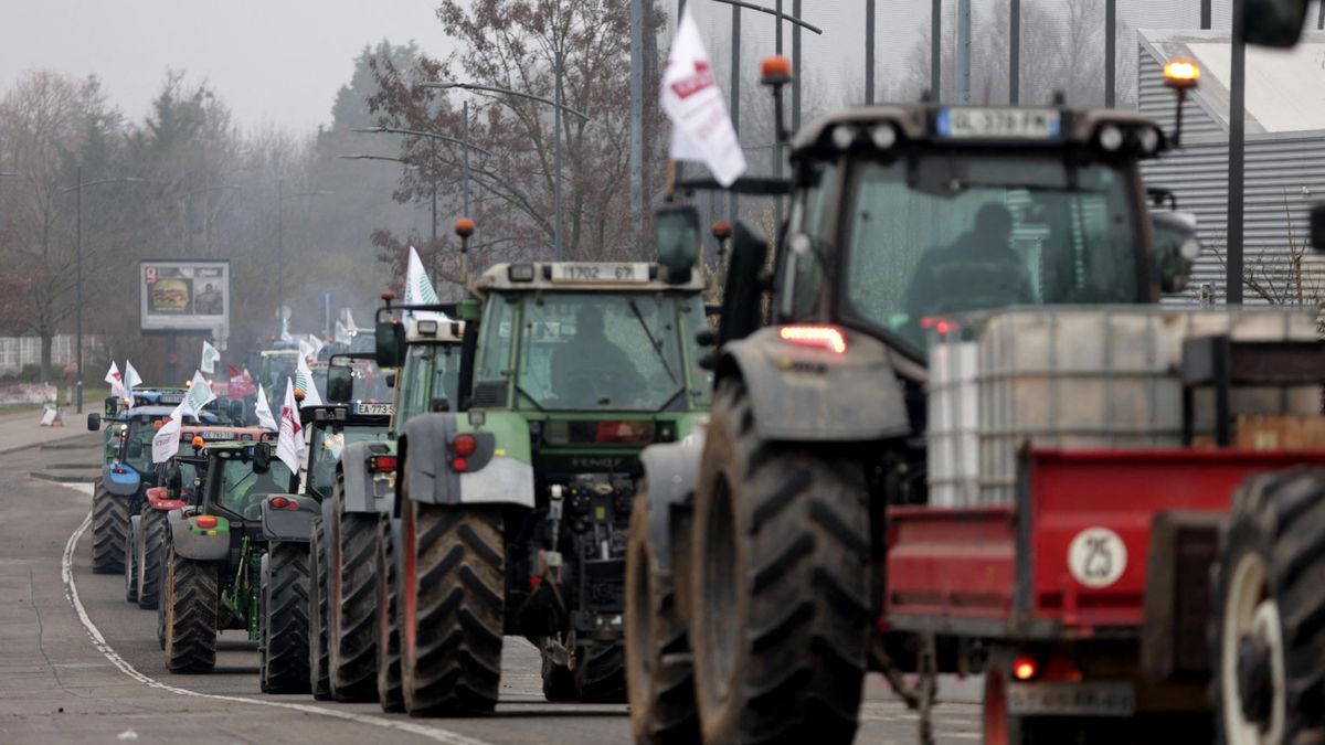 Novedades sobre el acuerdo Mercosur – Unión Europea: salvaguardias en Europa y aprobación inicial en Argentina
