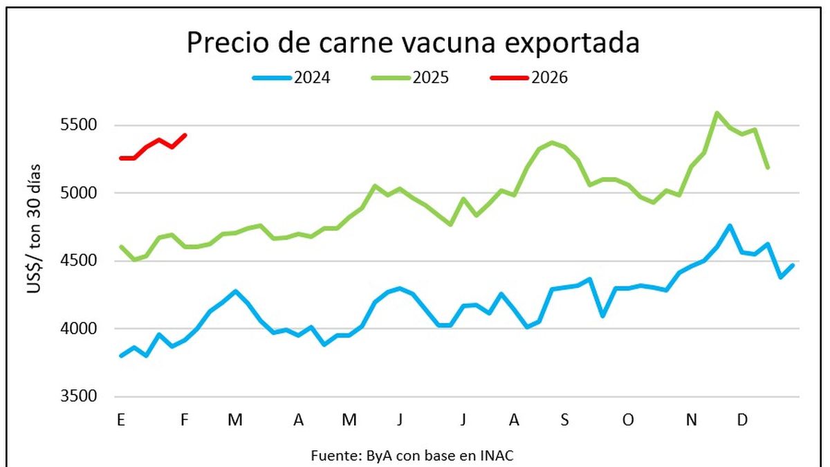 Novillos y terneros marcan nuevos récords de precios en Uruguay y sigue por la nubes el valor de la carne