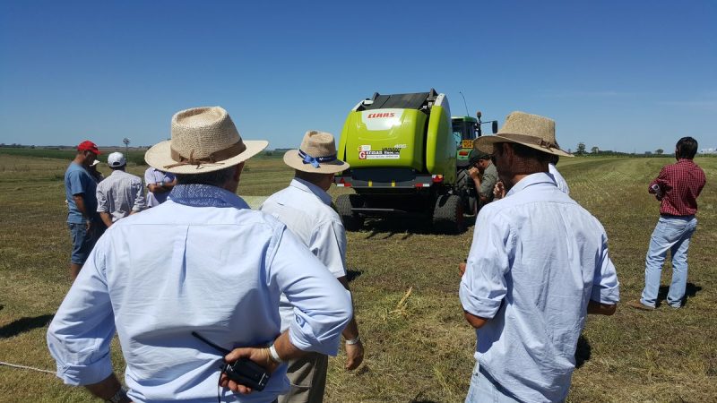 En años buenos y otros como el actual, la Expoactiva "siempre está" y es "un orgullo" para Soriano