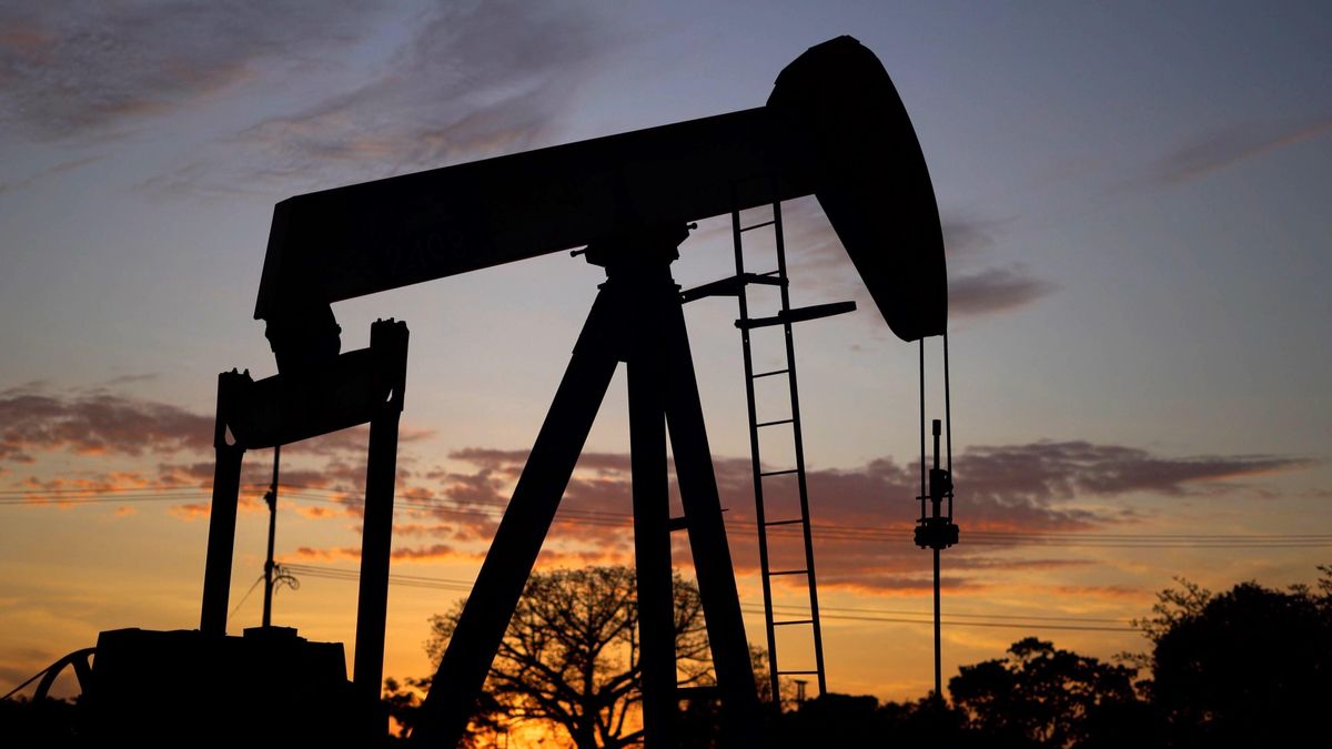 Los precios de los granos le pierden la pisada al petróleo, con ajustes en soja y trigo