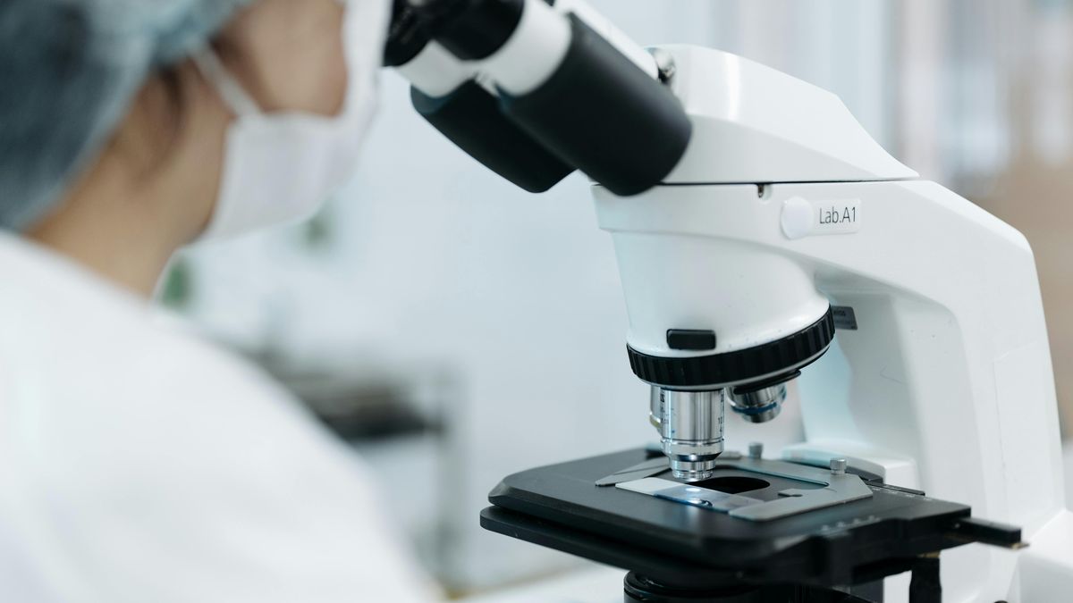 El caso del cordero trucho que parecía ser perro y terminó siendo carne vacuna