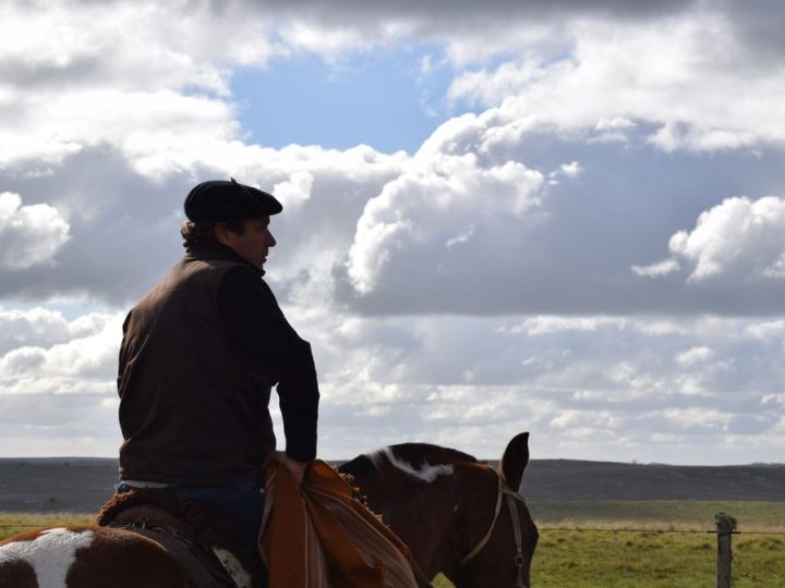 Presidencia de la República recordó los beneficios relacionados con el "Día del trabajador rural"