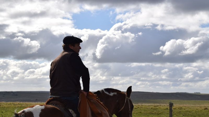 Presidencia de la República recordó los beneficios relacionados con el "Día del trabajador rural"
