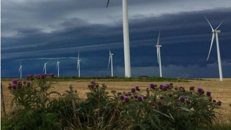 Parques eólicos que cotizan en bolsa sortearon un año de menor generación con resultados estables
