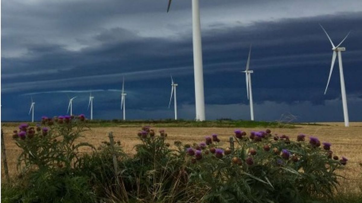 Parques eólicos que cotizan en bolsa sortearon un año de menor generación con resultados estables