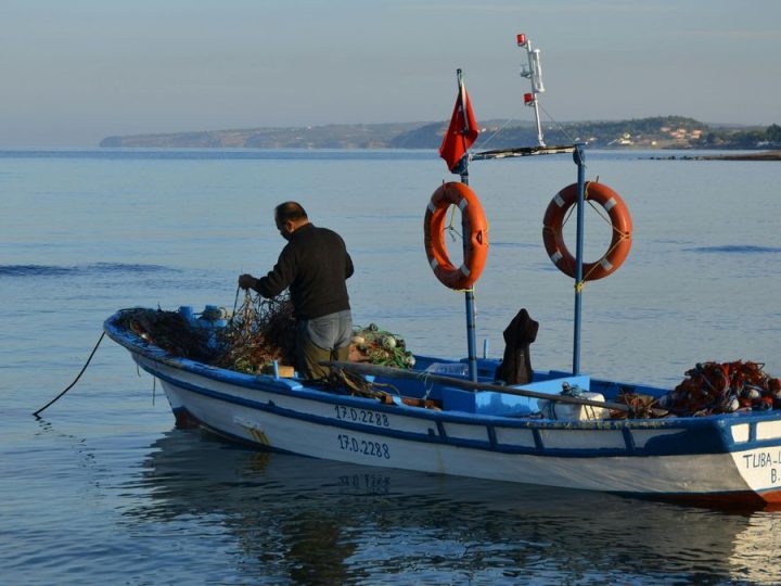 MGAP activó una veda inmediata de consumo para tres productos por marea roja