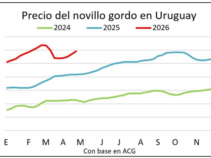 Suben los precios en el mercado de ganado gordo y hay valores históricos para los terneros