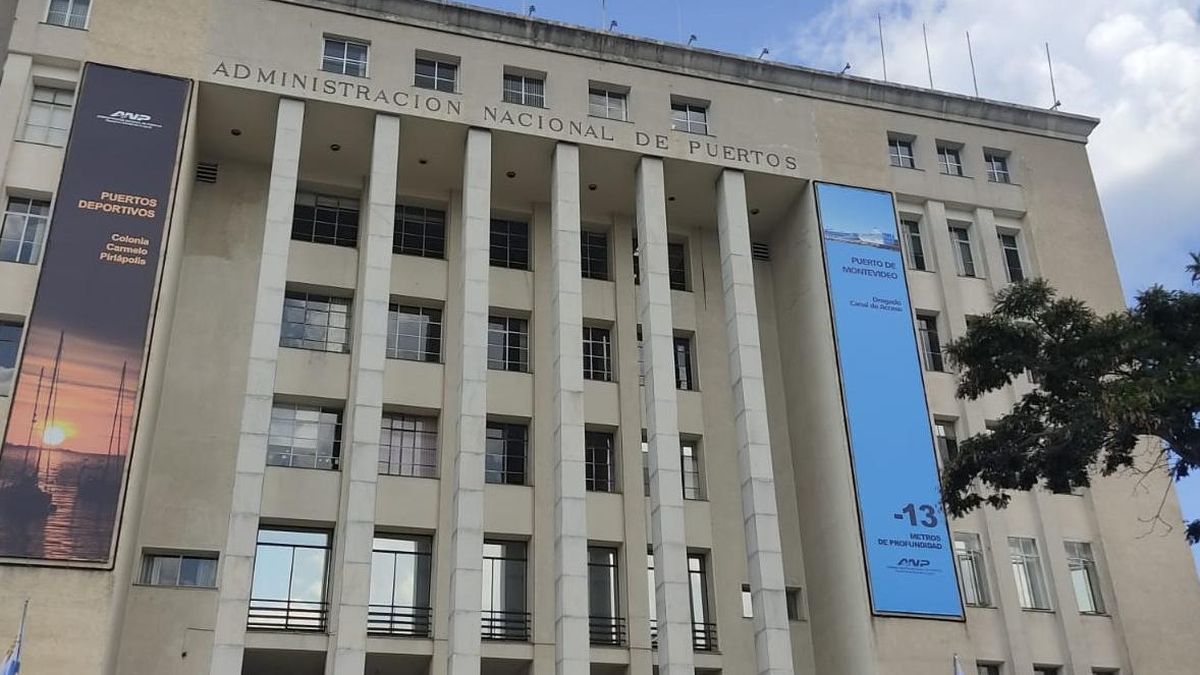 Puerto por debajo de los 13 de metros de profundidad y otros incumplimientos: los números rojos de la ANP