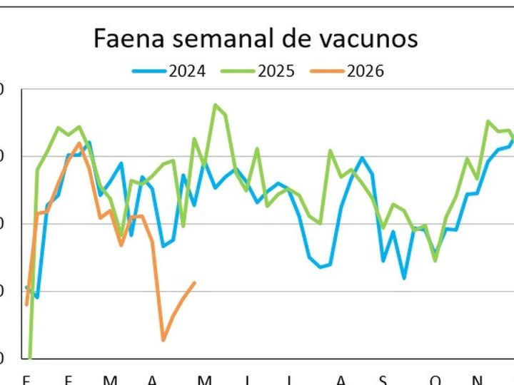 Escasez de ganado gordo tranca la faena de vacunos y en el primer cuatrimestre la actividad cae casi 20%