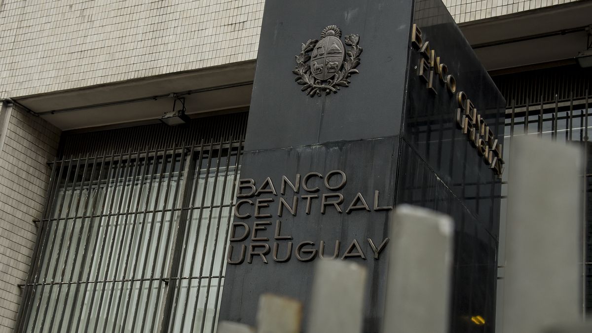 Empresas que ofrezcan planes de inversión con expectativa de rentabilidad deberán presentar declaración jurada en el BCU