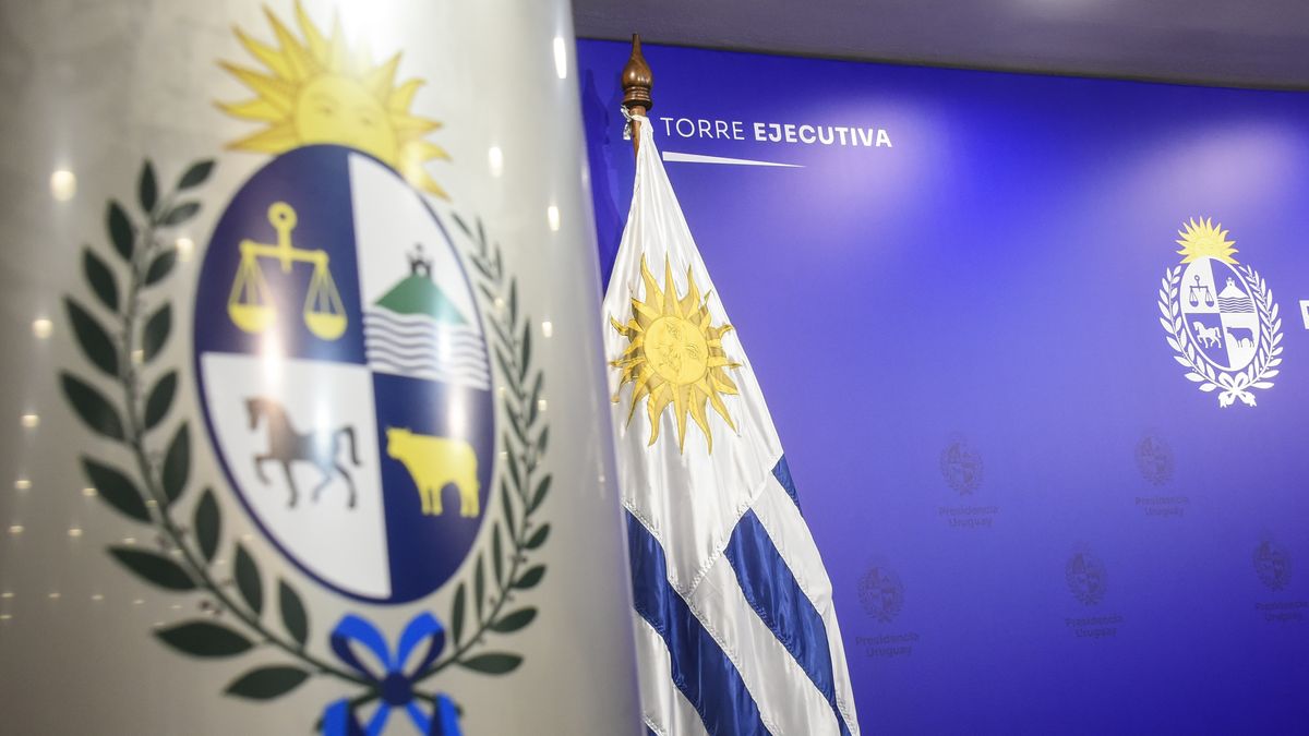 De la pasta de dientes a las fintech: las claves de la ley con más de 240 medidas que impulsa el gobierno