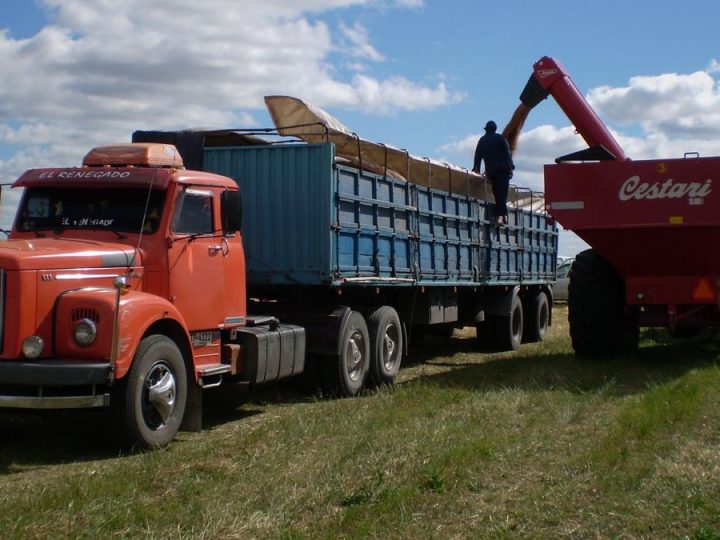 Arroceros apoyan a transportistas en su protesta por la implementación de la Guía Electrónica de Carga