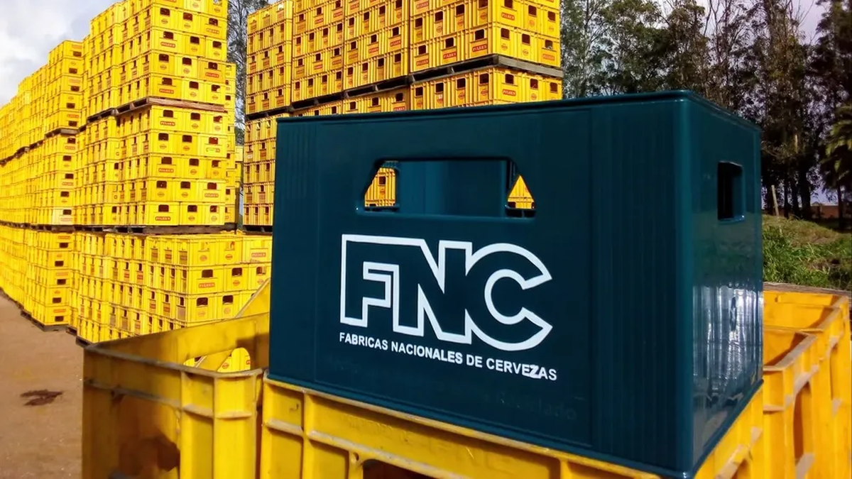 FNC envía al seguro de paro a todo el personal de Minas y comienza revisión sobre la viabilidad de sus operaciones en Uruguay