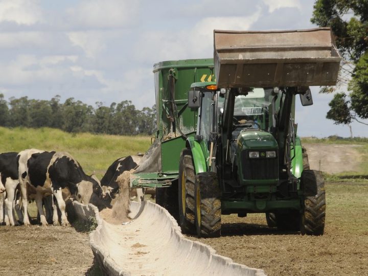 La remisión de leche desde los tambos a las industrias no detiene su expansión