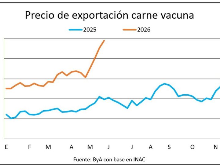 El precio de la carne vacuna exportada sigue desafiando a todos los gráficos