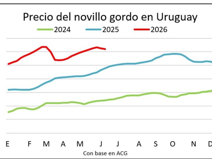 Los precios del ganado gordo retrocedieron por primera vez tras subas durante nueve semanas consecutivas