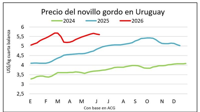 Los precios del ganado gordo retrocedieron por primera vez tras subas durante nueve semanas consecutivas