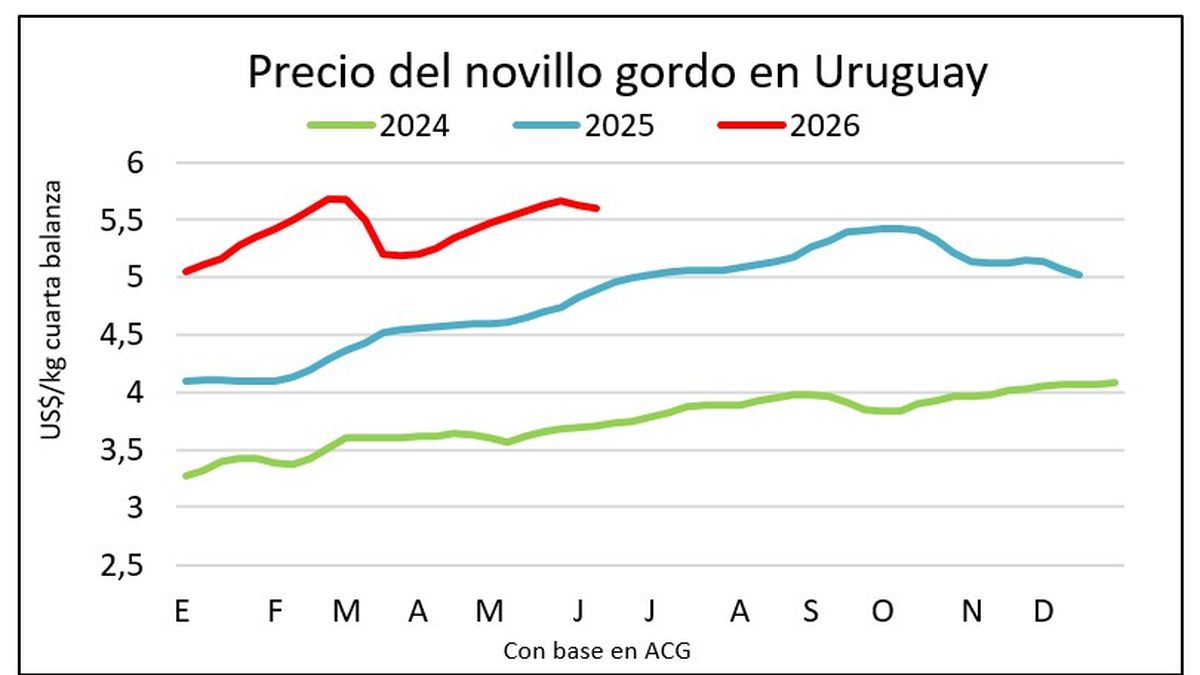 Los precios del ganado gordo retrocedieron por primera vez tras subas durante nueve semanas consecutivas