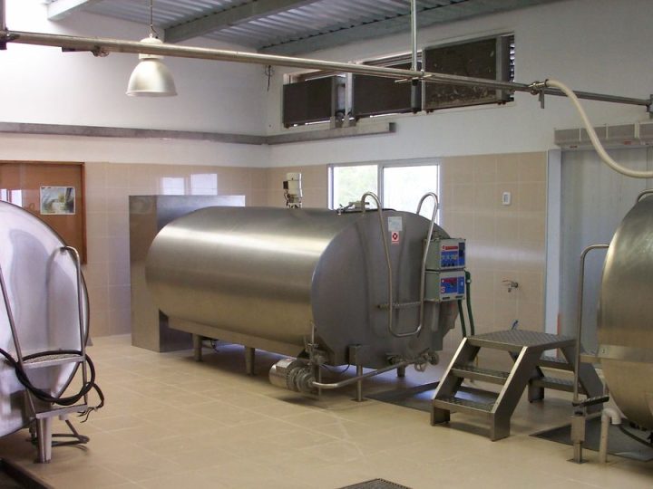 Envío de leche desde tambos a industrias creció más del 10% en cada uno de los indicadores