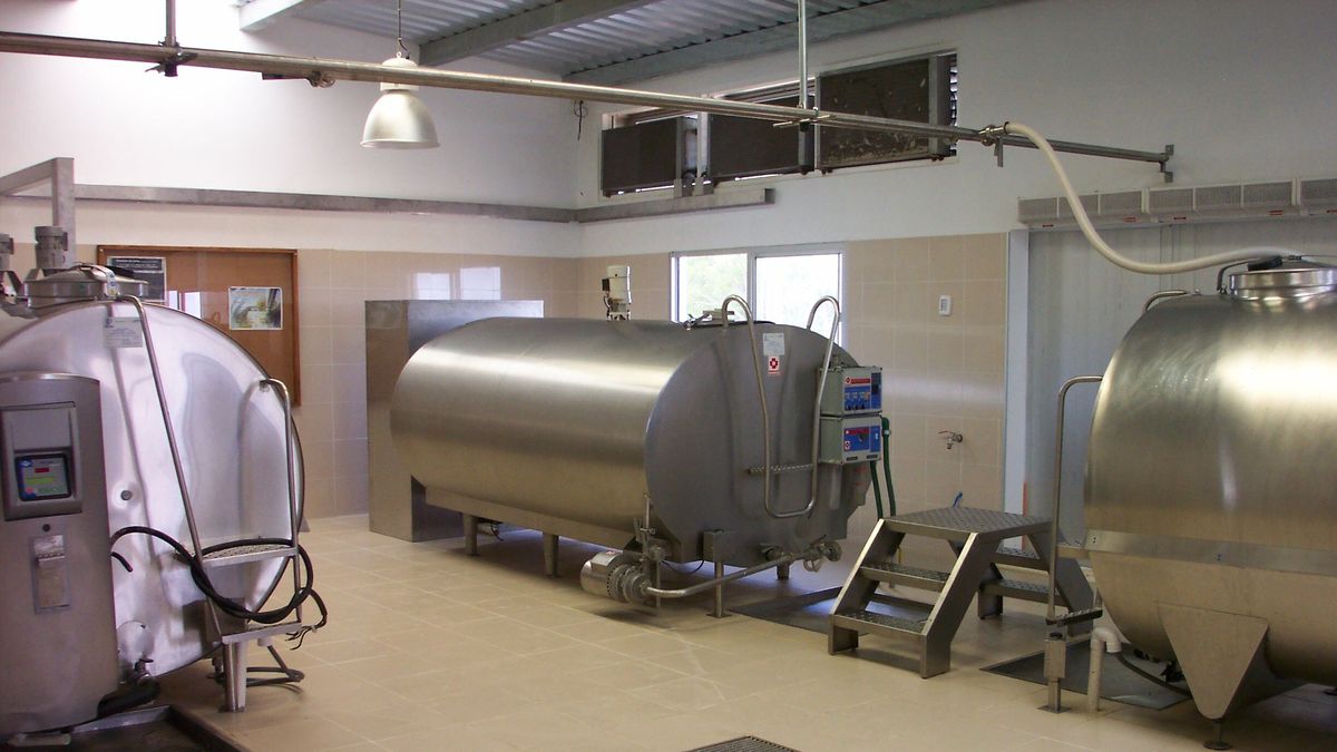 Envío de leche desde tambos a industrias creció más del 10% en cada uno de los indicadores